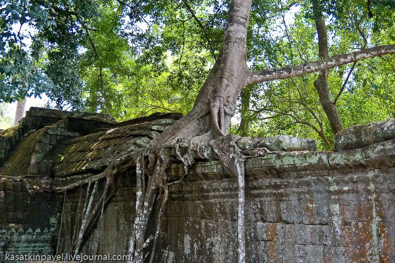  Индуистский храм Та Пром - храм, затерянный в джунглях