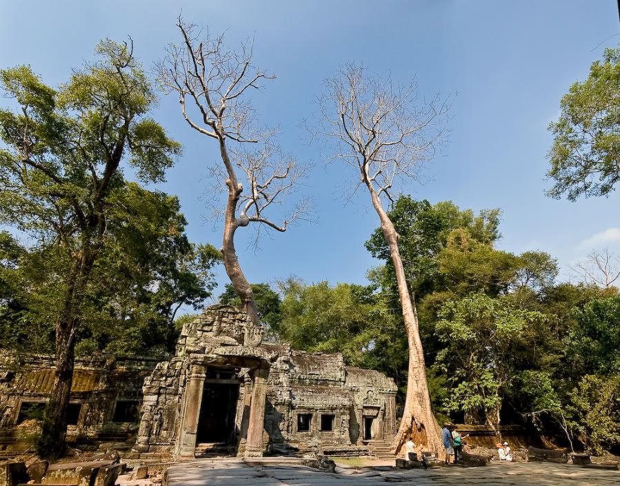  Индуистский храм Та Пром - храм, затерянный в джунглях