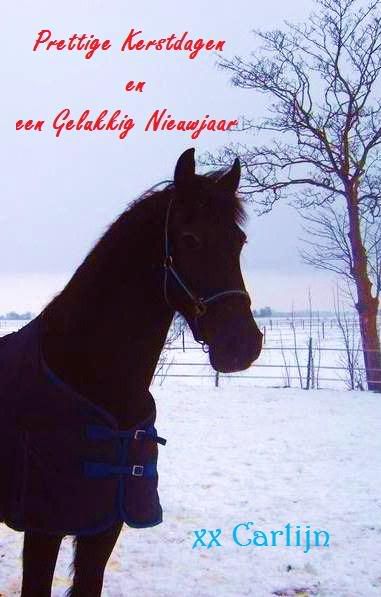 [img width=381 height=597]http://i653.photobucket.com/albums/uu251/xKaakie/kerstdagen.jpg?t=1260817413[/img]