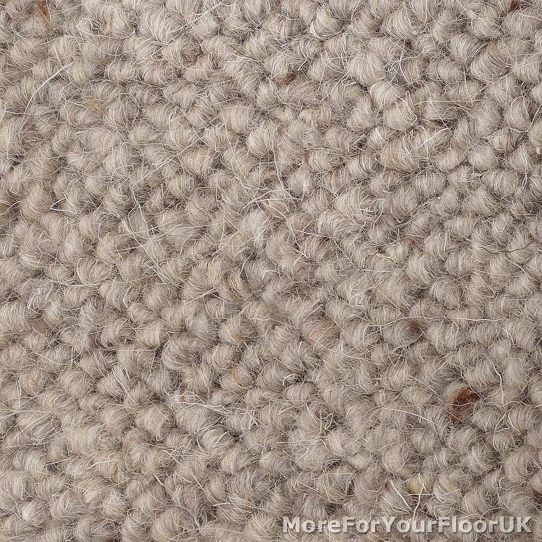 100 Wool Berber Carpet Ash Grey Beige Quality Loop eBay