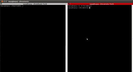 Multiple Gnome Terminal