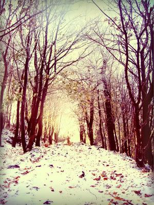 Photography. Pictures, Images and Photos