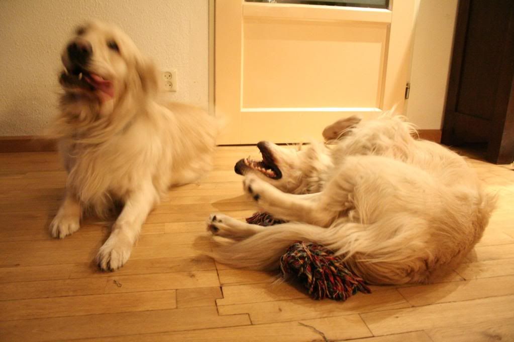 bewIMG_6831.jpg