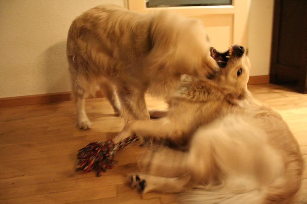 bewIMG_6835.jpg