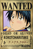 kokotoharutake.png