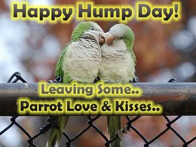 Happy Hump Day Pictures, Images and Photos