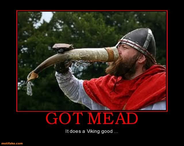 got-mead-got-mead-does-viking-good-demotivational-posters-1334364192.jpg