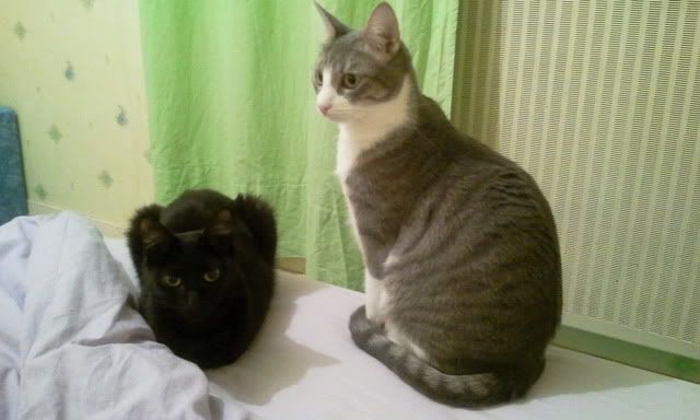 2010-12-06222310.jpg